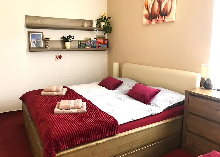 Apartmán Crocus 313